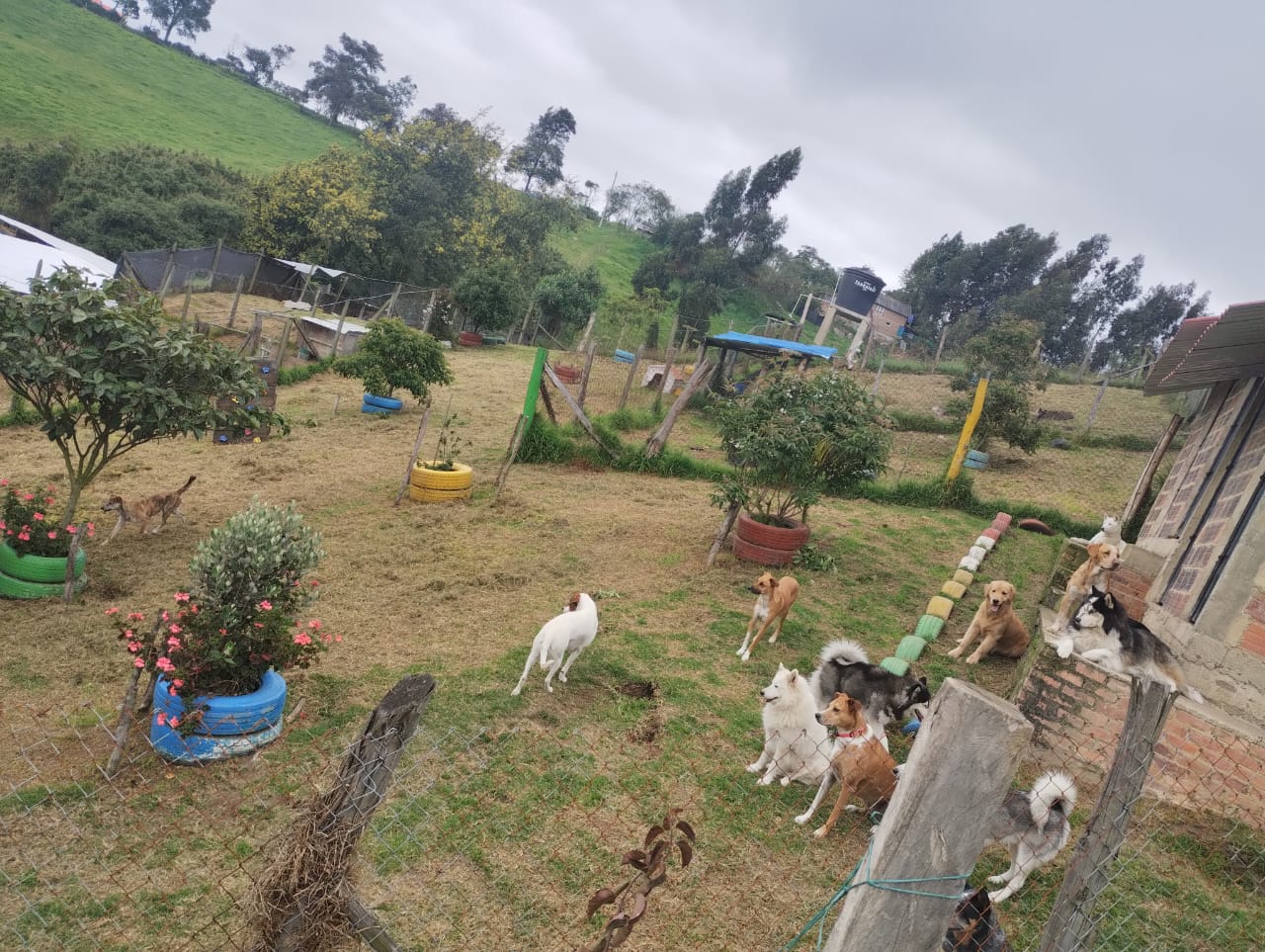 Área de Juegos