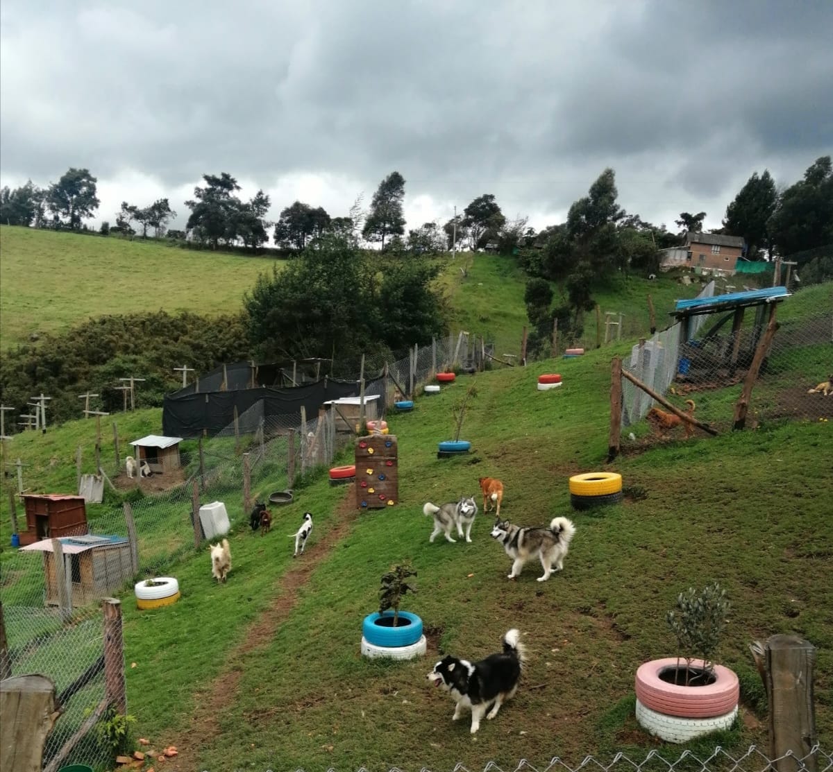 Hotel Canino en Cajicá Vacacional