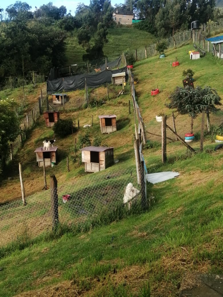 Área de Juegos